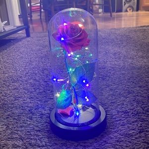 Decorative Rose in glass dome